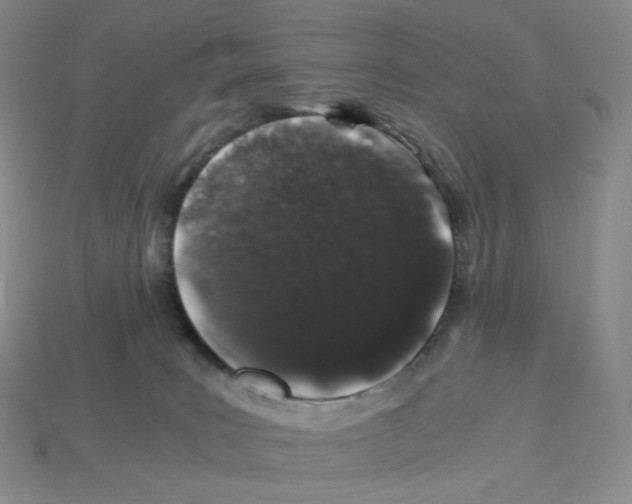 X0000112900035200910021443