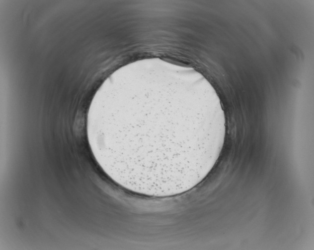 X0000112900036200910021443