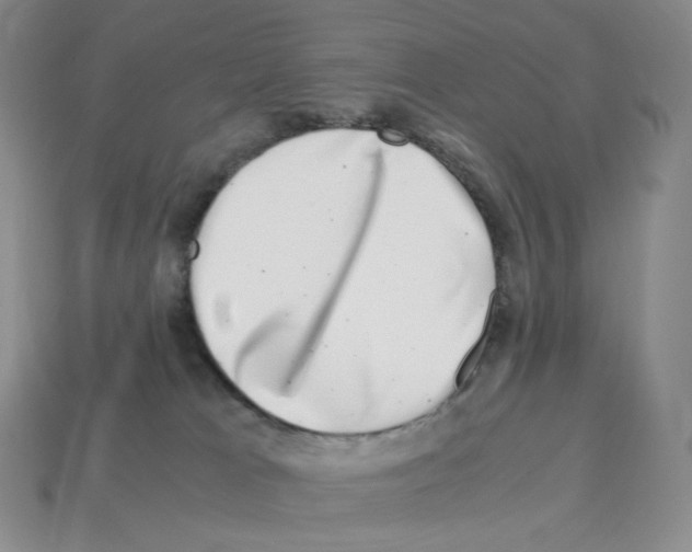 X0000112900037200910021443