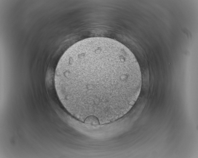 X0000112900038200910021443