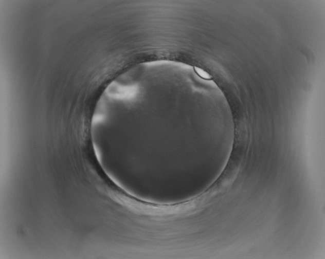 X0000112900039200910021443
