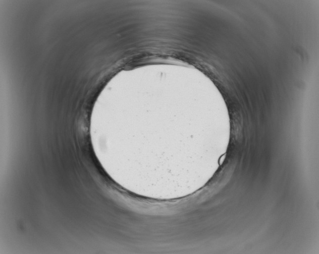 X0000112900040200910021443