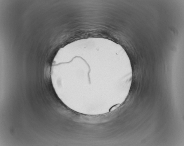 X0000112900041200910021443