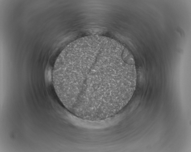 X0000112900042200910021443