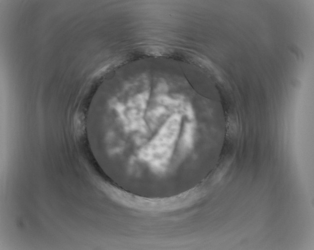 X0000112900043200910021443