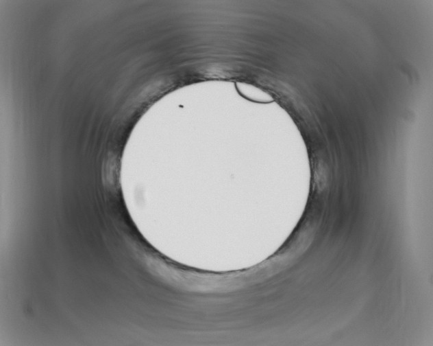 X0000112900044200910021443