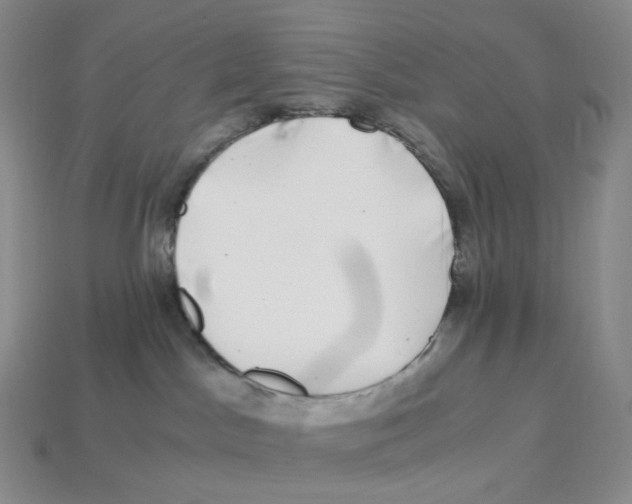 X0000112900045200910021443