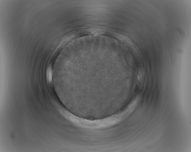 X0000112900046200910021443