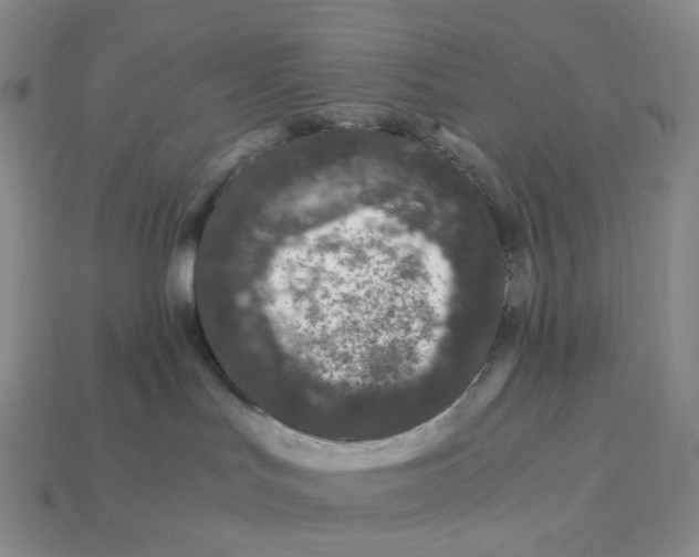 X0000112900047200910021443