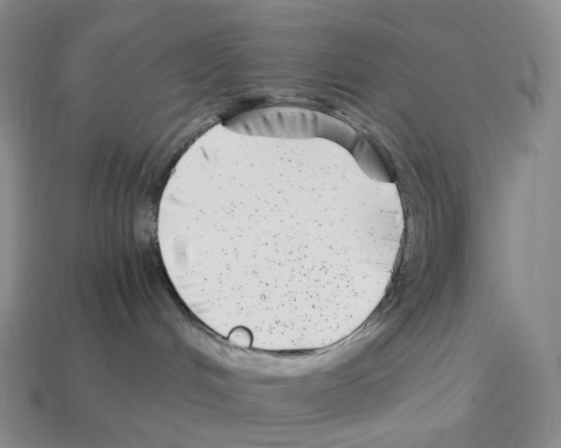 X0000112900048200910021443