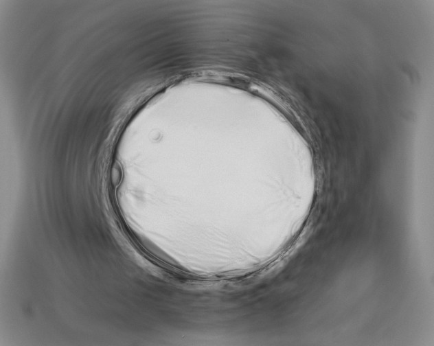 X0000112900049200910021443