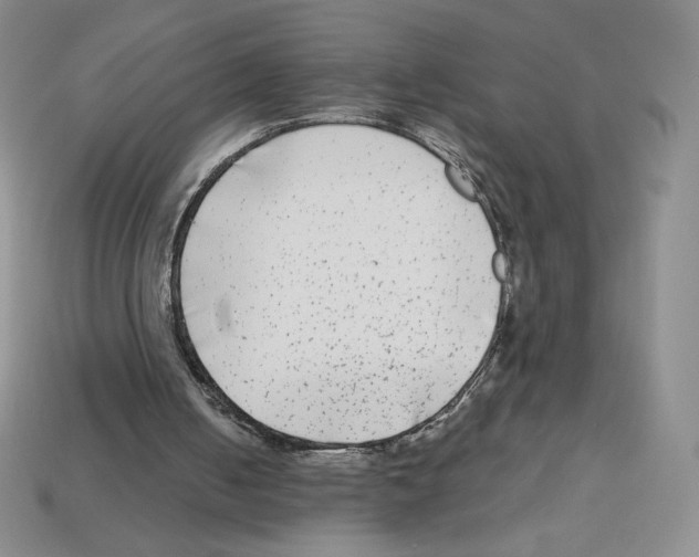 X0000112900050200910021443