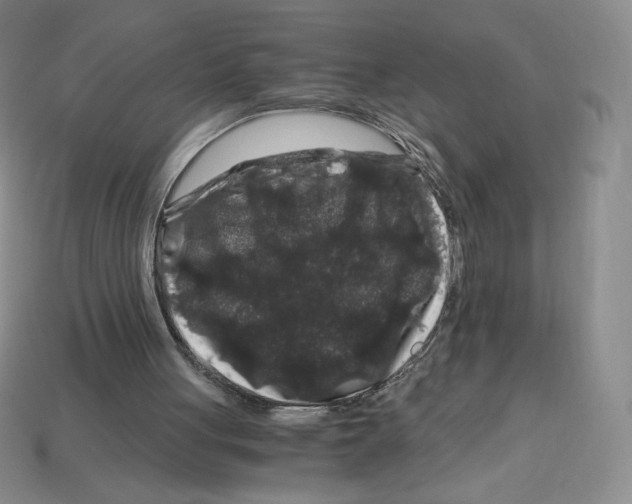 X0000112900051200910021443