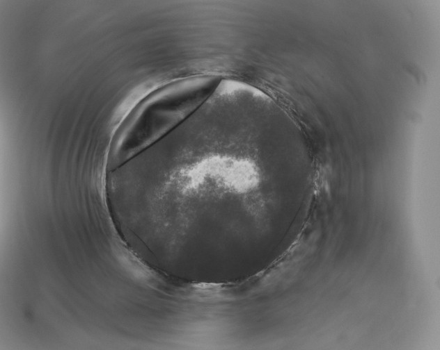 X0000112900052200910021443