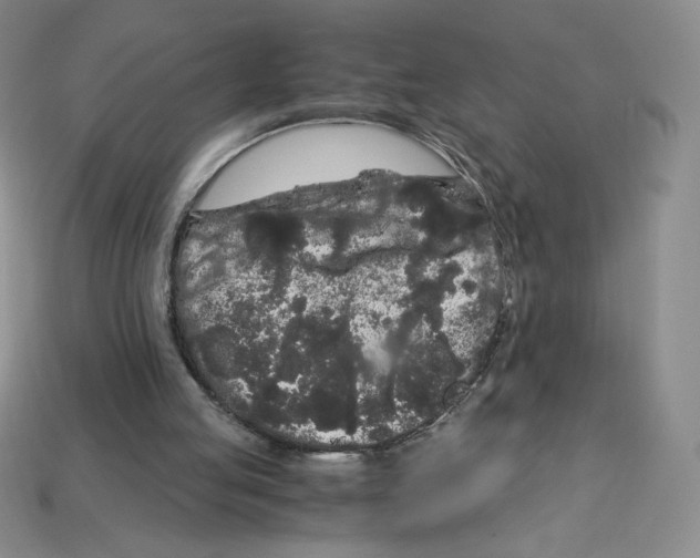 X0000112900053200910021443