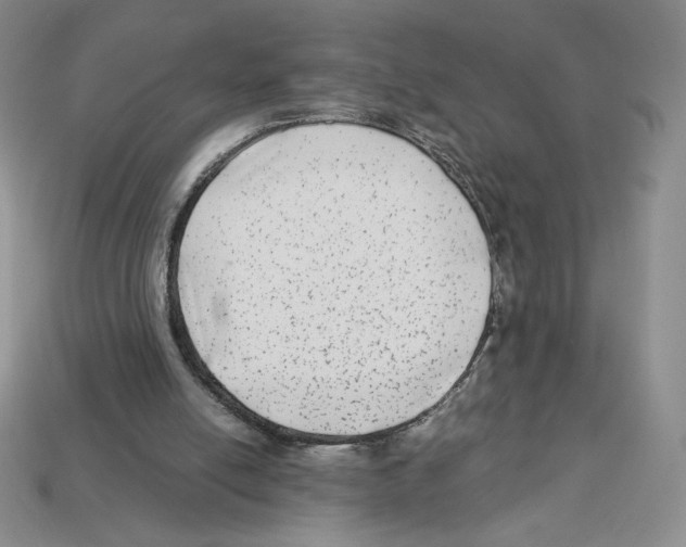 X0000112900054200910021443
