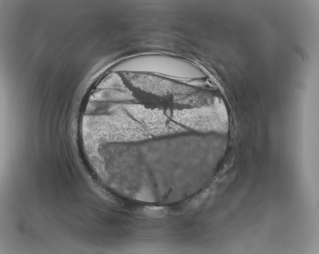 X0000112900055200910021443