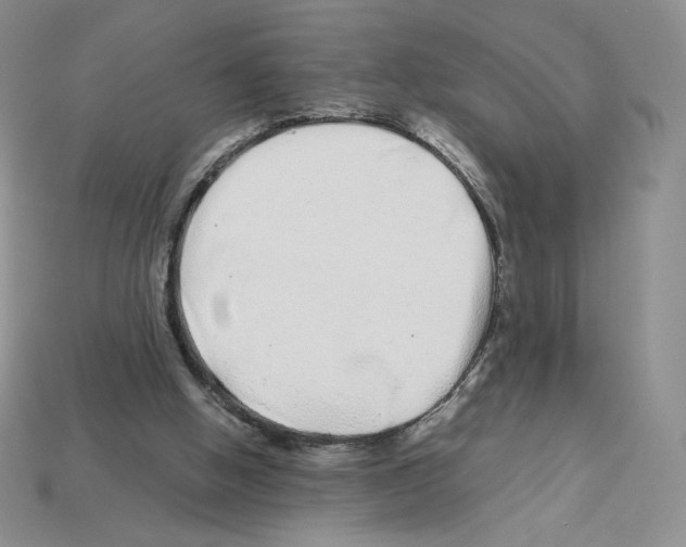 X0000112900058200910021443
