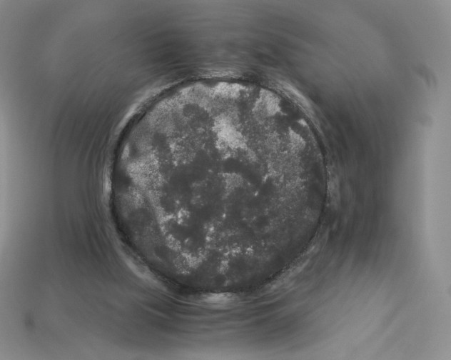 X0000112900059200910021443