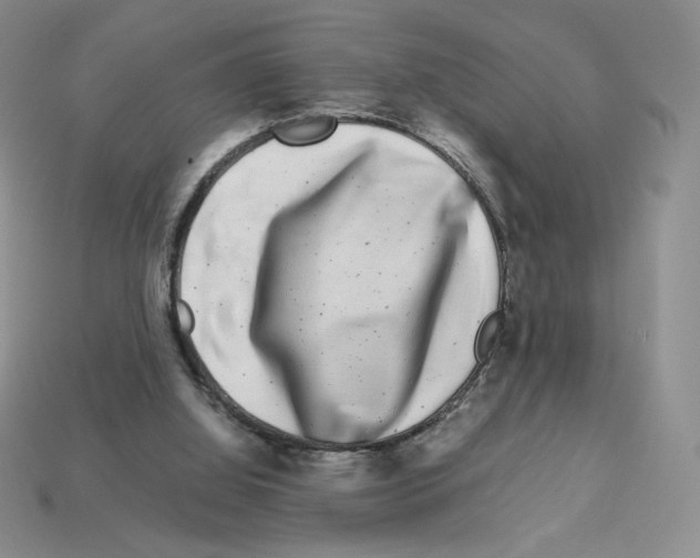 X0000112900060200910021443