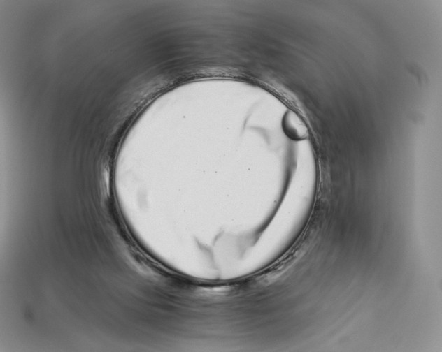 X0000112900061200910021443