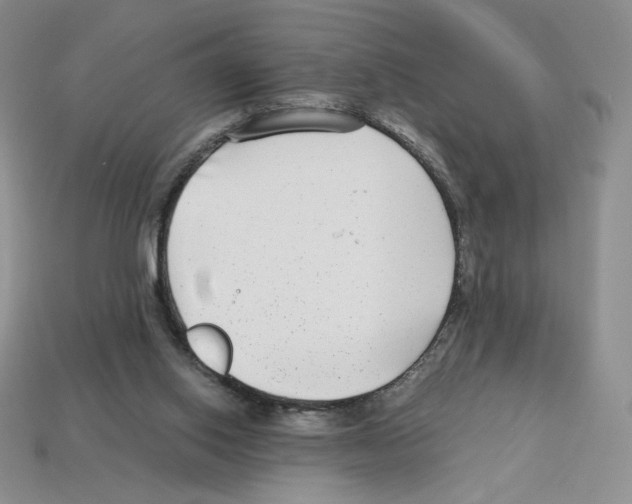 X0000112900062200910021443