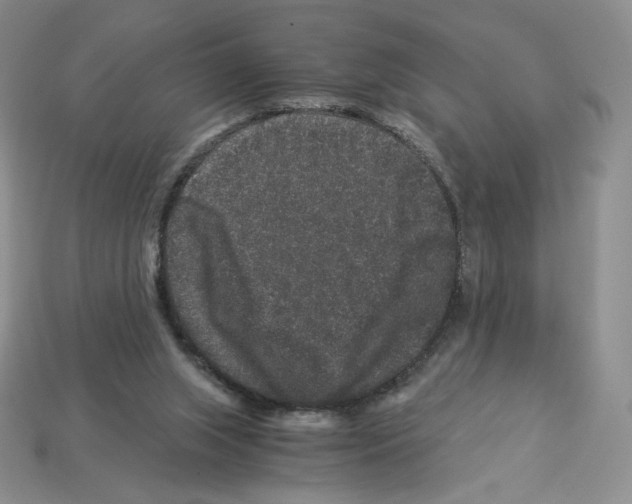 X0000112900063200910021443