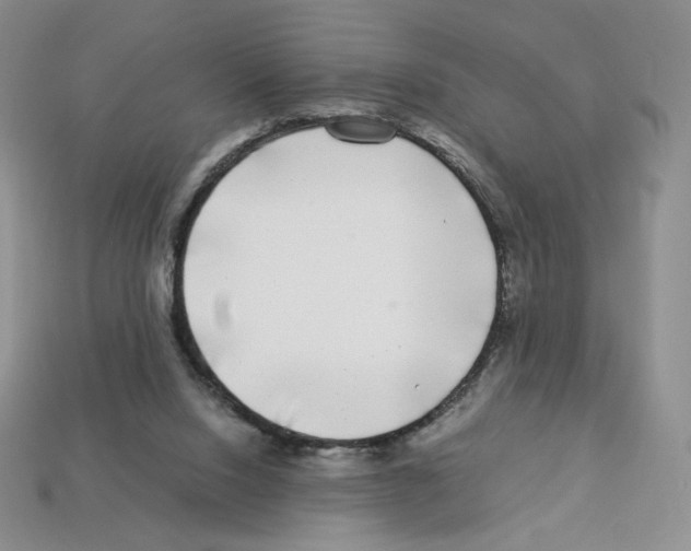 X0000112900064200910021443