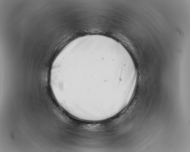 X0000112900065200910021443