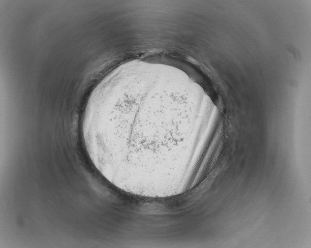 X0000112900066200910021443