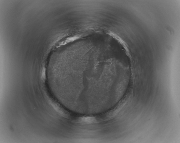 X0000112900067200910021443