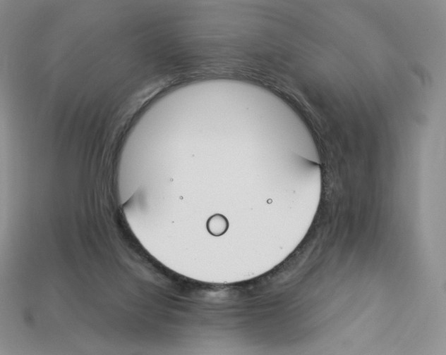 X0000112900068200910021443