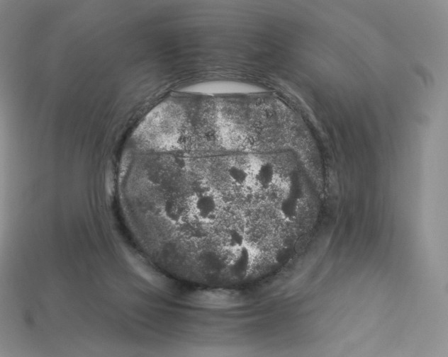 X0000112900069200910021443