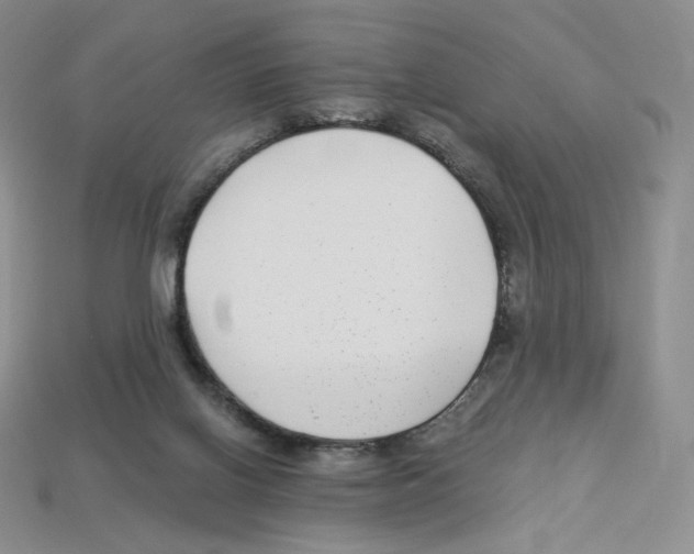X0000112900070200910021443