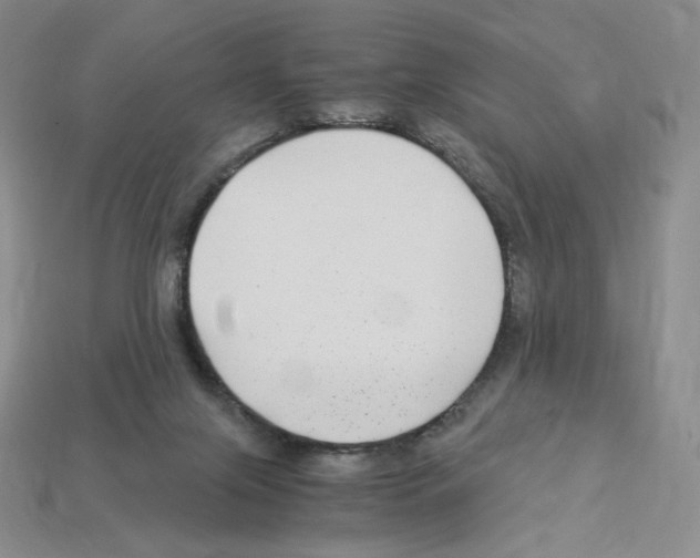 X0000112900071200910021443