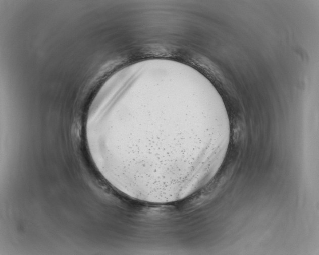 X0000112900072200910021443