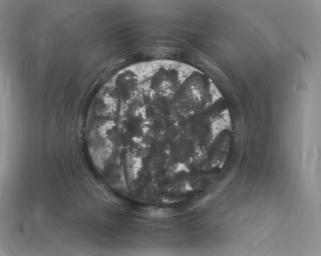 X0000112900073200910021443