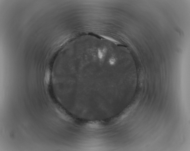 X0000112900076200910021443