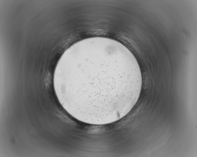 X0000112900077200910021443