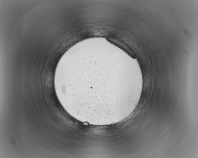 X0000112900078200910021443