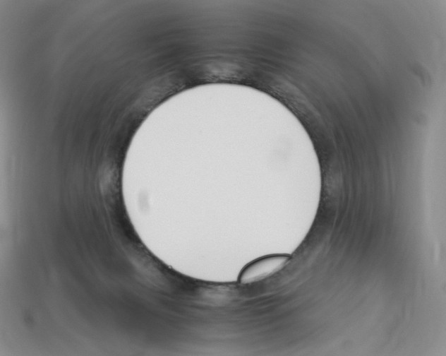 X0000112900079200910021443
