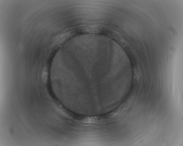 X0000112900080200910021443