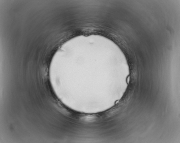 X0000112900081200910021443