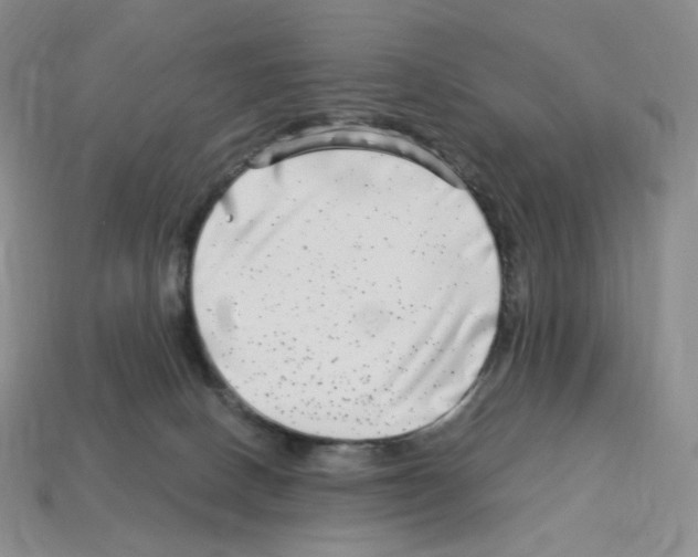 X0000112900082200910021443
