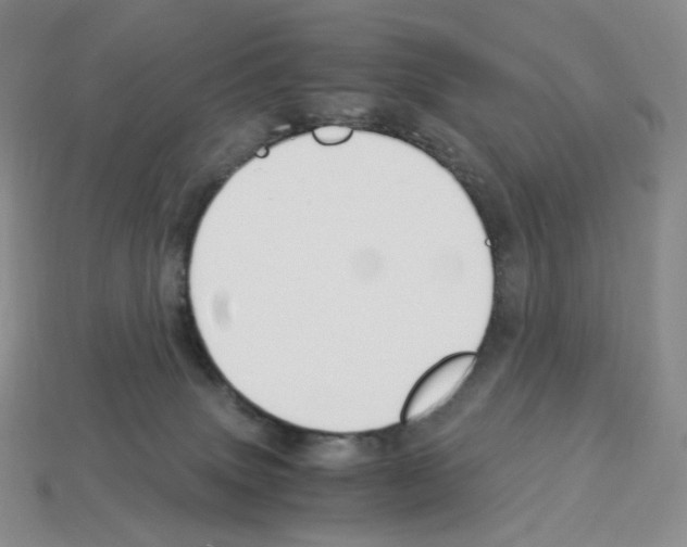 X0000112900083200910021443