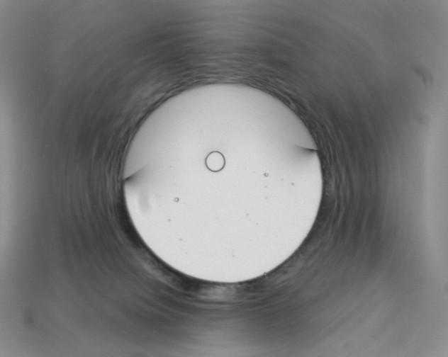 X0000112900084200910021443