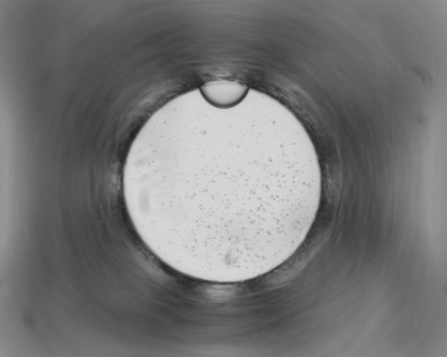 X0000112900085200910021443
