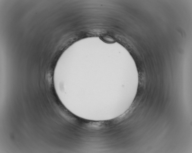 X0000112900086200910021443