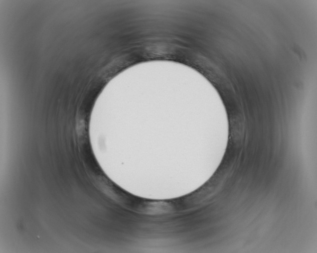X0000112900087200910021443