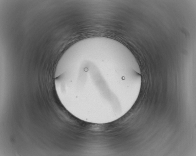 X0000112900088200910021443